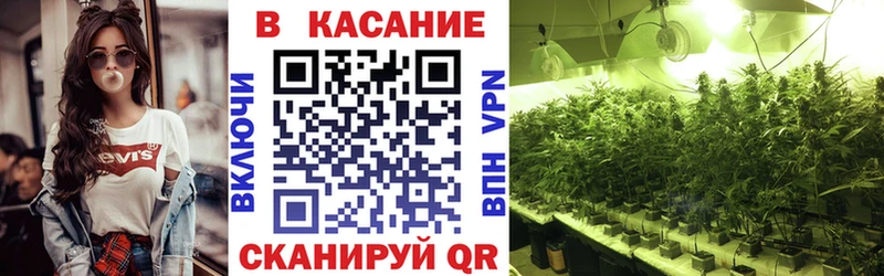  COCAIN Тырныауз