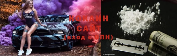 твердый Надым
