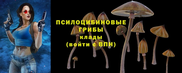 PSILOCYBIN Наволоки