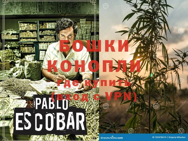 PSILOCYBIN Наволоки