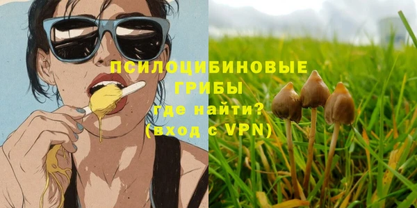 ПСИЛОЦИБИНОВЫЕ ГРИБЫ Михайлов