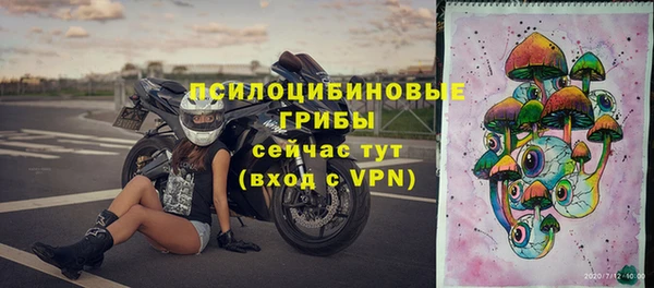 твердый Надым