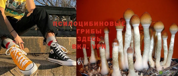 твердый Надым
