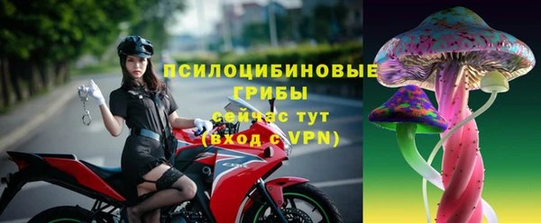PSILOCYBIN Наволоки